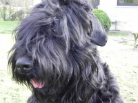 /album/fotogalerij-roosje/dscn5628-1-jpg1/